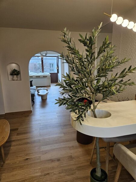 Floreasca, Ceaikovski, apartament cu 2 camere de vanzare lux.