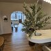 Floreasca, Ceaikovski, apartament cu 2 camere de vanzare, lux,